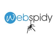 Web Spidy
